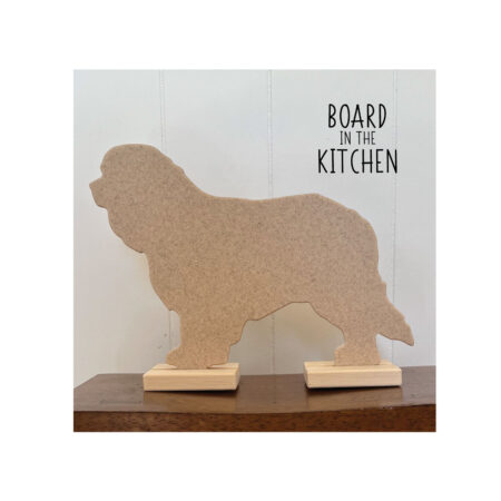 CAVALIER KING CHARLES SPANIEL